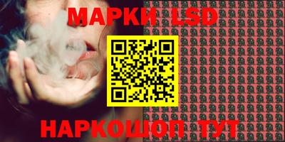 прущие крисы Будённовск