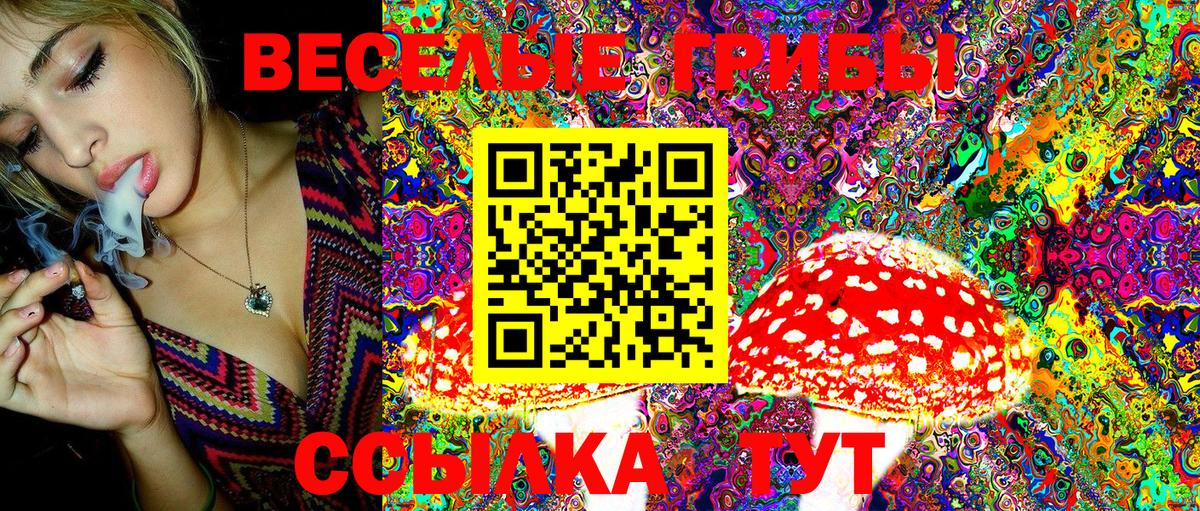 Псилоцибиновые грибы MAGIC MUSHROOMS  Вход с VPN  купить наркотик  Урюпинск  Псилоцибиновые грибы мухоморы 