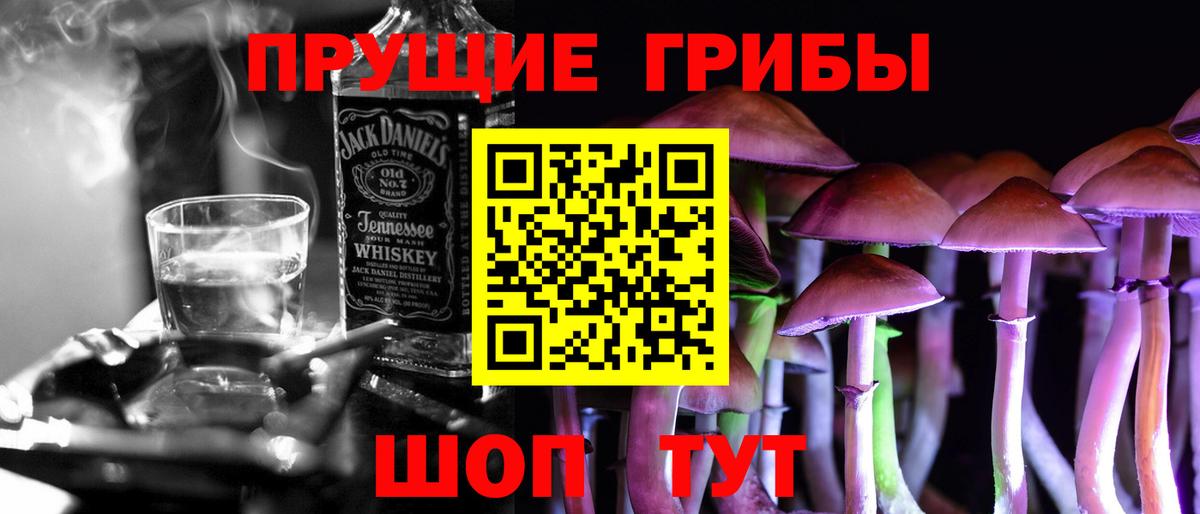 Псилоцибиновые грибы Psilocybe Урюпинск